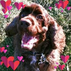 Meet your Posher, Stacey